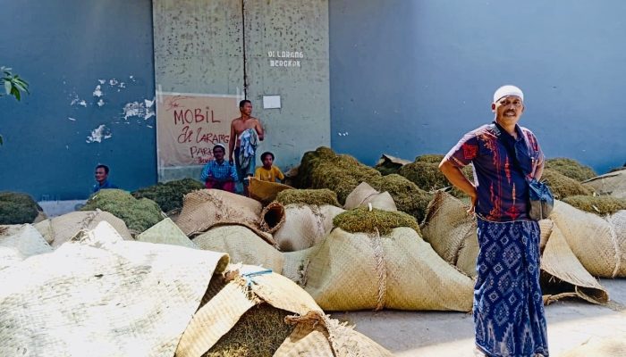 Penegakan Perda Tataniaga Tembakau Terbatas Anggaran, Satpol PP Pamekasan: Razia Tembakau Luar Tak Jalan