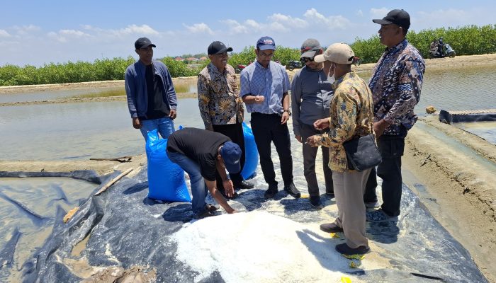 Penggunaan Geomembran Belum Maksimal, Produksi Garam di Pamekasan Baru Capai 19 Ribu Ton