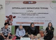 Inovasi Kue Daun Randu dan Teknologi IB: Jalan Baru Kemandirian Peternak Lokal