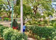 Luas RTH Belum Capai Angka Minimal, DLH Pamekasan: Kami Fokus Kelola yang Ada