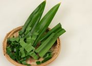 Lebih dari Pelengkap Aromatik, Daun Pandan Bantu Redakan Neyeri Otot dan Sendi