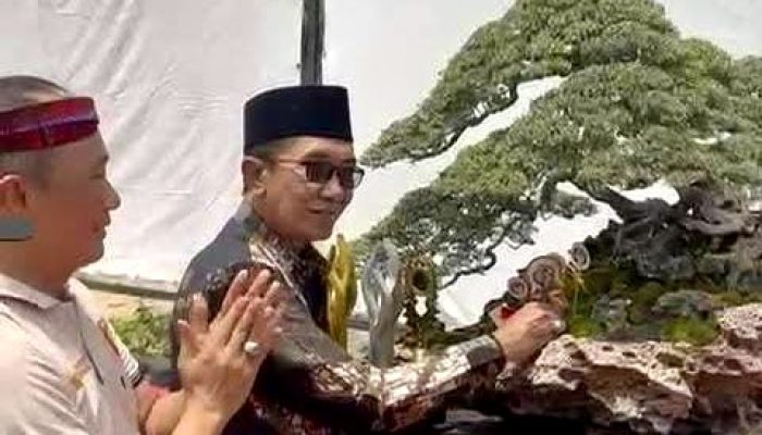 Bupati Pamekasan Yakini Festival Bonsai Mampu Dorong Peningkatan Ekonomi Kreatif