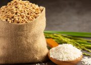 Tidak Banyak Tahu, Ini Manfaat Air Cucian Beras untuk Tanaman