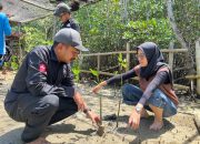 Wujud Komitmen Kawal Isu Lingkungan di Madura, AJP Tanam Seribu Bibit Mangrove