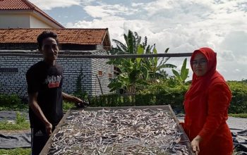 Genjot Konsumsi Ikan, Diskan Pamekasan Naikkan Target Produksi Olahan Ikan 2,5 Persen pada 2026