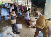 Dukung Program Nasional, Perum Bulog Madura Bidik 400 Ton Jagung Petani