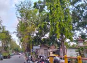 270 PJU di Pamekasan Rusak Dishub Ungkap Penyebabnya