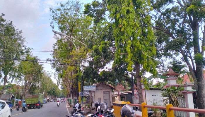 270 PJU di Pamekasan Rusak Dishub Ungkap Penyebabnya