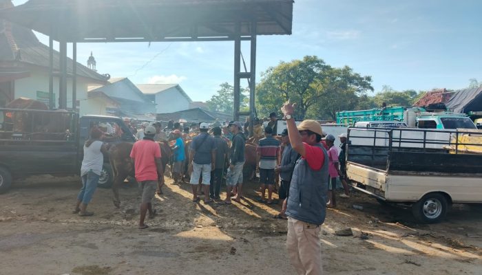 Retribusi Pasar Tidak Maksimal, Setengah Tahun Belum Capai 50 Persen dari Target
