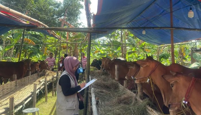 Jelang Hari Raya Idul Adha, Pemkab Mulai Perketat Pengawasan Hewan Kurban