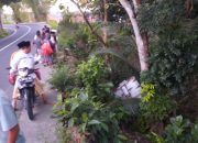 Akibat Keluar Jalur, L300 Box Nyelonong ke Jurang di Pamekasan 