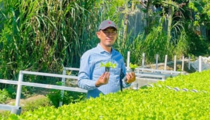 Anggota DPRD Pamekasan Ajak Warga Manfaatkan Tanaman Hidroponik di Tengah Harga Bahan Pokok Naik 
