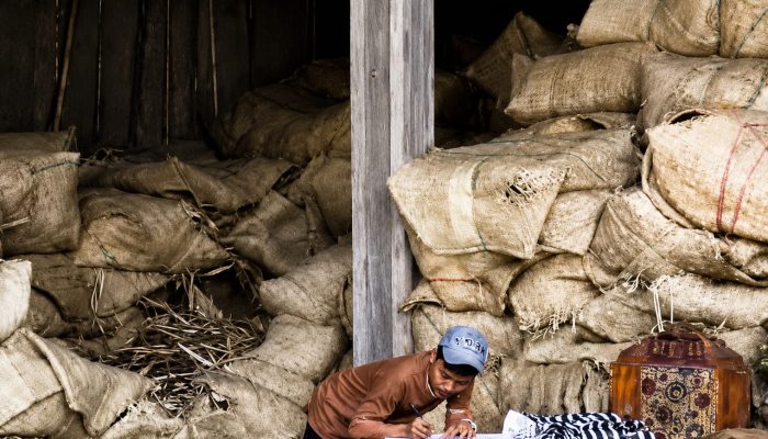 Pemerintah Dinilai Lamban Tetapkan Harga, Petani Tembakau Khawatir Rugi
