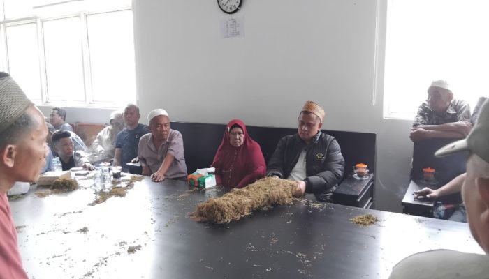 Didampingi Sang Ibunda, Haji Her Buka Gudang Induk Bawang Mas: Kami Beli Sampai Akhir Musim