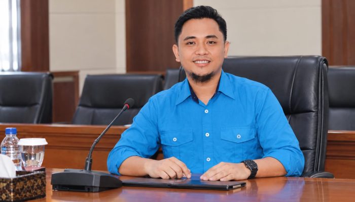 Masa Transisi UHC Rawan Kekosongan Layanan, Saedy Romli Tawarkan 2 Skema Talangan APBD